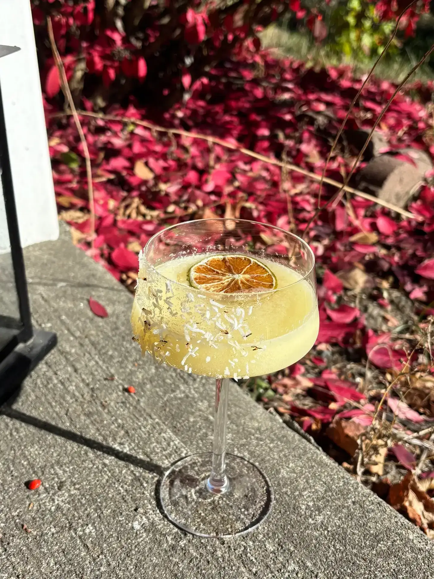 A citrus-garnished cocktail served outdoors on the patio at The Local
